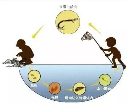 13129bcd699c3cbac8f7539f126c6e96.png 13129bcd699c3cbac8f7539f126c6e96.png